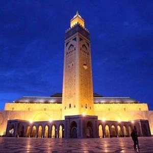 Meet your Posher, Fialka